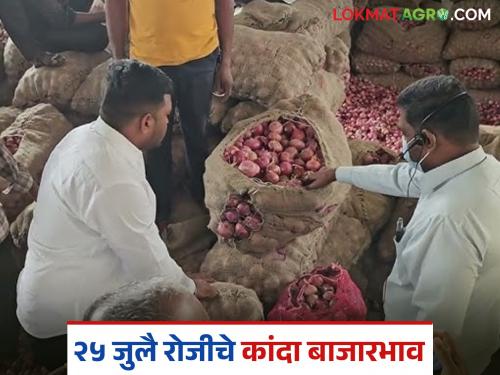 Latest News Kanda Market onion market changed after Deep Amavasya see market on July 25 | Kanda Market : दीप अमावास्येनंतर कांदा बाजार बदललेत का? वाचा 25 जुलै रोजीचे मार्केट 