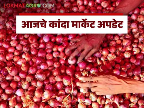 Latest News Kanda Bajar Bhav one lakh 26 thousand quintals unhal kanda arrival in Nashik district, read in detail | Kanda Bajar Bhav : उन्हाळ कांदा आवक कुठे जास्त अन् बाजारभाव कुठे चांगले, वाचा सविस्तर