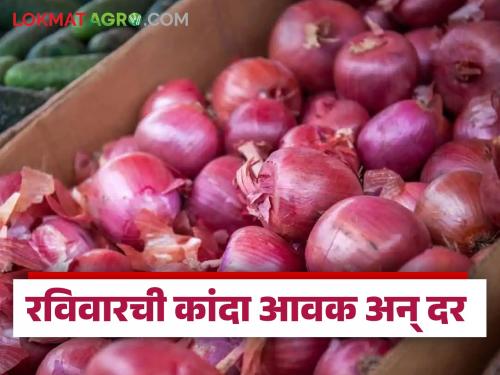 Latest news Kanda Market lal and unhal kanda price incresed see 17 aug market price | Kanda Market : लाल कांद्यासह उन्हाळ कांद्याच्या दरात बदल, रविवारी काय भाव मिळाला?