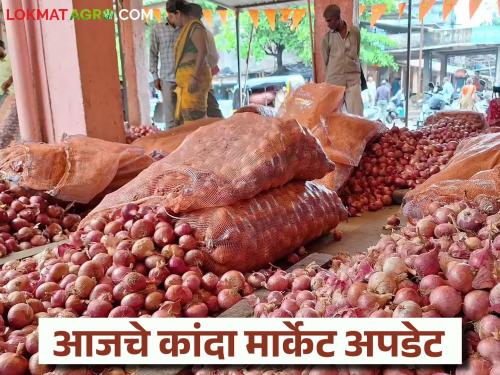 Latest News kanda market onion prices in Lasalgaon, Solapur, Nagpur markets on 19th august | Kanda Market : लासलगाव, सोलापूर, नागपूर मार्केटमध्ये कांद्याला काय दर मिळाले, वाचा सविस्तर 