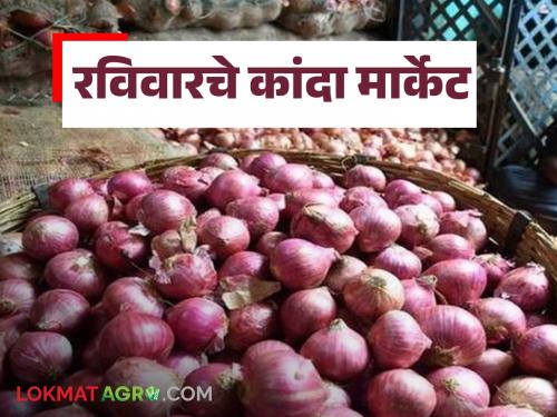 Latest News Kanda Market see onion prices in Ahilyanagar, Solapur, Pune markets | रविवारी कांद्याची आवक कमी झाली, अहिल्यानगर, सोलापूर, पुणे बाजारात काय दर मिळाले? 