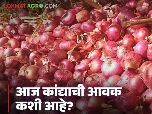 Latest news Kanda Market See onion arrived and market prices in Nashik and Solapur markets | Kanda Market : नाशिक अन् सोलापूर कांदा मार्केटला आवक किती झाली, काय दर मिळाले? वाचा सविस्तर 