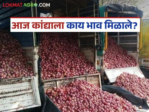 Latest News kanda Market Onion Market rate down on 29th august see details | Kanda Market : राज्यातील 'या' कांदा मार्केटला दर कमालीचे घसरले, वाचा आजचे बाजार भाव