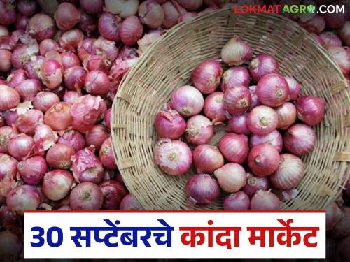Latest news Kanda market see todays onion market prices in Nashik, Solapur, Mumbai and Pune markets | Kanda Bajarbhav : नाशिक, सोलापूरसह मुंबई, पुण्यात कांद्याला काय दर मिळतोय, वाचा सविस्तर 
