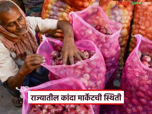 Latest news Kanda Market Onion market in Lasalgaon fell on Monday, see todays market prices | Kanda Market : सोमवारी लासलगाव कांदा मार्केटमध्ये पडझड, इतर मार्केटला काय दर मिळाले? 