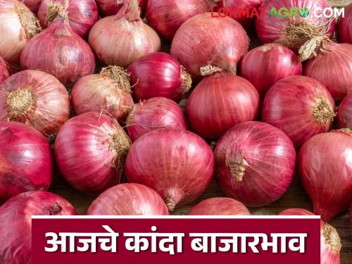 Latest News Kanda Market Update Local onion prices fall in Pune market, read details | Pune Kanda Market : पुणे बाजारात लोकल कांदा दरात घसरण, वाचा आजचे कांदा बाजारभाव