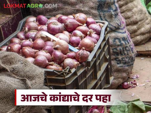 Latest news Kanda Market see onion market price per quintal on Sunday 7th september, read in detail | Kanda Market : आज रविवारी कांद्याला प्रति क्विंटल काय दर मिळाले, वाचा सविस्तर 