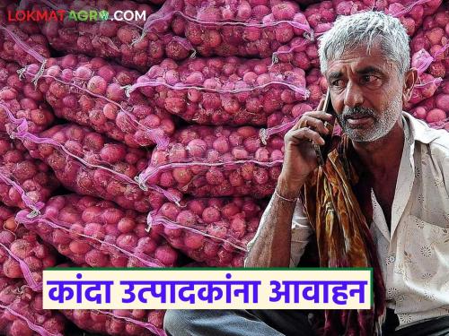 Latest news Kanda Market Onion prices likely to increase in few days Appeal to farmers | Kanda Market : चाळीची परिस्थिती बघून ठरवा कांदा विकायचा की ठेवायचा, शेतकऱ्यांना आवाहन 