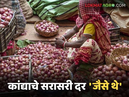 Latest News Kanda Market difference between highest and average price of onions Read in detail | Kanda Market : कांद्याच्या सर्वाधिक आणि सरासरी दरात फरक का आहे? वाचा सविस्तर 