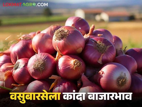 Kanda Bajarbhav : Inflow to Nashik is down, Solapur is up, read today's onion market price | Kanda Bajarbhav : नाशिकला आवक कमी, सोलापूरला वाढली, वाचा आजचे कांदा बाजारभाव