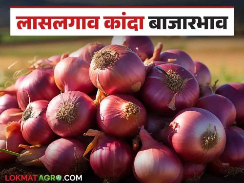 Latest News Kanda Market In Nashik district red onion price is lower than summer onion, see Details | Kanda Market : नाशिक जिल्ह्यात लाल कांद्याला उन्हाळ कांद्यापेक्षा कमी भाव, वाचा आजचे बाजारभाव