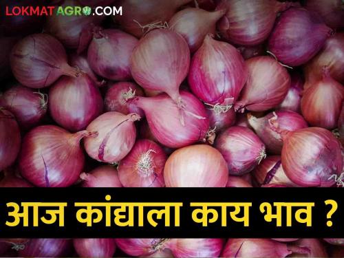 Latest News Todays Kanda bajarbhav In lasalgaon and solapur onion market see details | Kanda Bajarbhav : लासलगाव, सोलापूर बाजारात कांद्याला काय भाव मिळाला? वाचा आजचे बाजारभाव 