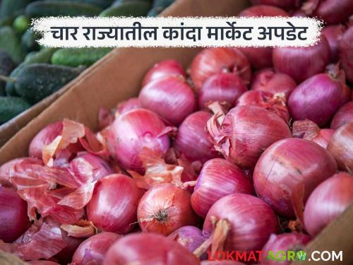 Latest News See Onion Prices in Maharashtra, Bihar, Madhya Pradesh, and Haryana kanda market | Kanda Market : महाराष्ट्रासह बिहार, मध्यप्रदेश, हरियाणा राज्यात कांद्याला काय दर मिळतोय? 