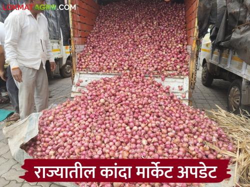 Latest News Kanda Market Satisfactory price of onions in Amravati market compared to Nashik, read in detail | Kanda Market : नाशिकपेक्षा अमरावती फळ- भाजीपाला मार्केटमध्ये कांद्याला समाधानकारक दर, वाचा सविस्तर 