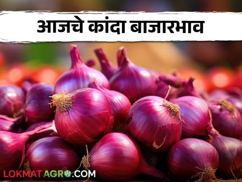 Latest news Kanda Bajar Bhav price being offered in top onion market in maharashtra | Kanda Bajar Bhav : राज्यातील या टॉपच्या कांदा मार्केटमध्ये काय दर मिळतोय? वाचा सविस्तर