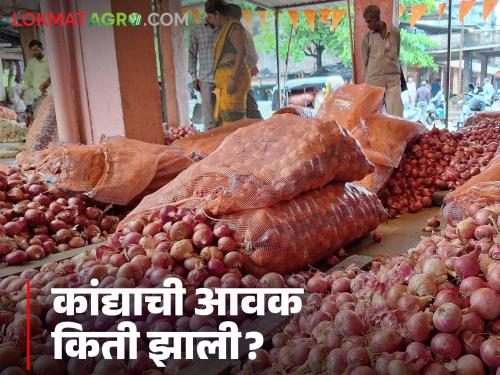 Latest news Kanda Market see todays onion market rates in Pune, Mumbai | Kanda Market : पुणे, मुंबई, कांदा मार्केटला काय दर मिळाले, वाचा आजचे बाजारभाव