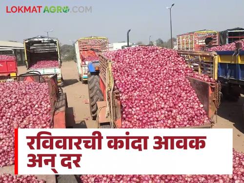 Latest news Kanda Market price of onion in Pune, Solapur, Ahilyanagar markets Read in detail | Kanda Market : पुणे, सोलापूर, अहिल्यानगर बाजारात कांद्याला सरासरी काय भाव मिळाला? वाचा सविस्तर 