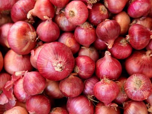 No effect of export duty hike; 110 trucks of onions arrived in Solapur onion export duty | निर्यात शुल्कवाढीचा परिणाम नाही; सोलापुरात ११० ट्रक कांद्याची आवक