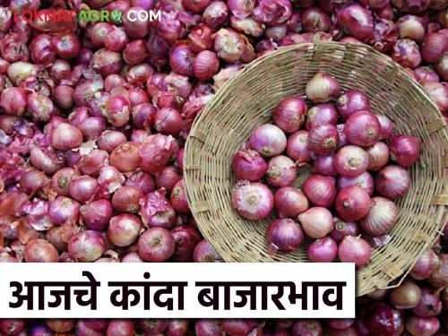 latest News Kanda Market Update red onion market price per quintal in Parner market | Kanda Market : पारनेर बाजारात लाल कांद्याला क्विंटलमागे काय भाव मिळाला? वाचा आजचे बाजारभाव