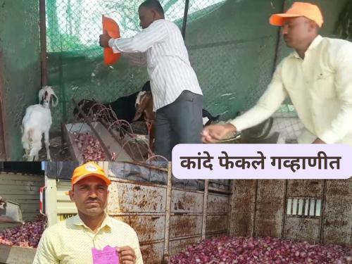 Latest News Onion fetched price of Rs 152 per quintal, yeola onion Farmers disappointed | Kanda Bajar Bhav : कांद्याला प्रतिक्विंटल 152 रुपये दर मिळाला, शेतकऱ्याने कांदे गव्हाणीत फेकले! 