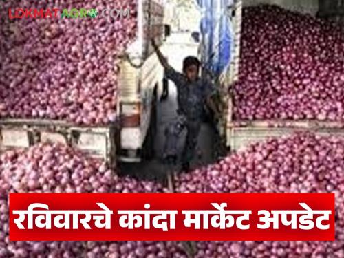 Latest News Kanda Market see the onion prices in Ahilyanagar, Pune, Nagpur districts, read in detail | Kanda Bajarbhav : अहिल्यानगर, पुणे, नागपूर जिल्ह्यातील कांद्याचे दर पाहुयात, वाचा सविस्तर 