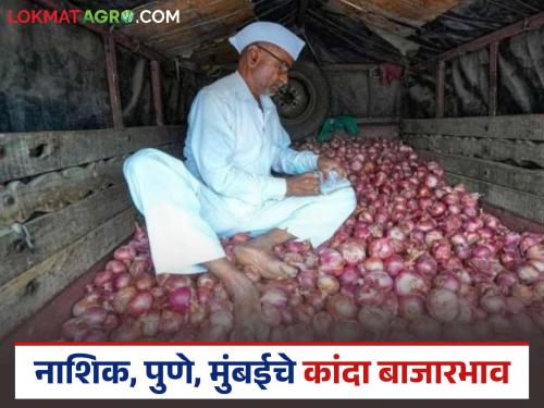 Latest News kanda Market Onion market down in Nashik district, recovered in Pune Mumbai market | Kanda Market : नाशिक जिल्ह्यात घसरले, पुणे, मुंबईत सावरले, कांद्याला काय मिळतोय दर? 