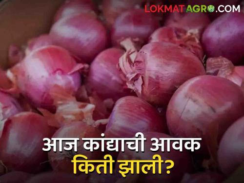 Latest News Todays Onion market price in nashik district market yards check here | Onion Market : कळवण बाजारात उन्हाळ कांद्याची सर्वाधिक आवक, वाचा आजचे बाजार भाव