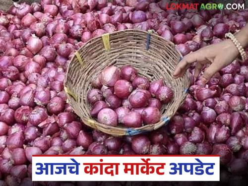 Latest News Kanda Market Todays Unhal Kanda Market in lasalgoan and parner kanda market | Kanda Market : लासलगावसह पारनेर बाजारात उन्हाळ कांद्याला चांगला दर मिळतोय, वाचा सविस्तर
