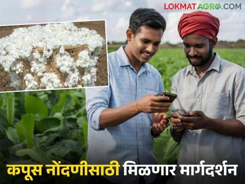 latest news Kapas App Training: Solutions to technical problems; Registration Help Center for Farmers read in details | Kapas App Training : तांत्रिक अडचणींवर उपाय; शेतकऱ्यांसाठी नोंदणी मदत केंद्र वाचा सविस्तर