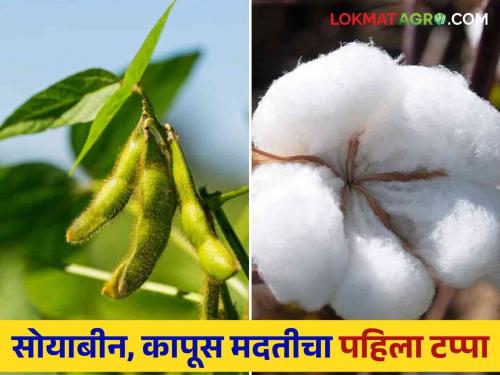 A trial was conducted to deposit one rupee in the farmers' accounts Cotton and Soybean aid to the farmers' accounts soon | बँक खात्यात एक रुपया जमा करण्याची चाचणी झाली लवकरच कापूस व सोयाबीन मदत शेतकऱ्यांच्या खात्यावर