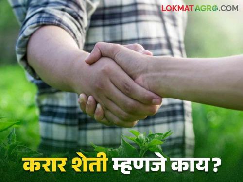 Contract Farming: Have you ever done contract farming? Know what is contract farming?  | Contract Farming : तुम्ही कधी करार शेती केलीय का? जाणून घ्या करार शेती म्हणजे काय? 