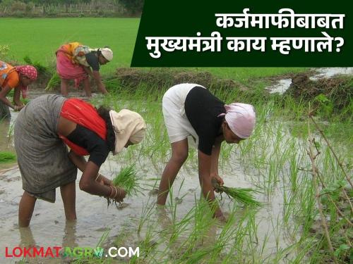 Latest News Shetkari Karjmafi what says Chief Minister Devendra Fadnavis about loan waiver | कोणतेच राज्य दर पाच वर्षांनी... मुख्यमंत्री देवेंद्र फडणवीस कर्जमाफीविषयी काय म्हणाले? 