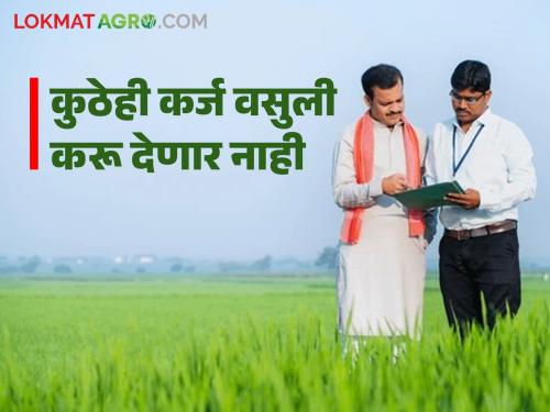 latest News Agriculture News Do not recover loans, Chief Minister's order, farmers' organization's nivedan to ndcc bank | कर्ज वसुली करू नका, मुख्यमंत्र्यांचे आदेश, शेतकरी संघटनेचे जिल्हा बँकेला निवेदन 