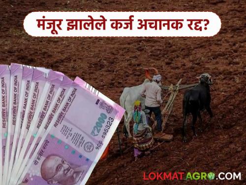 farmer loan cancelled: latest news The loan sanctioned to the farmer was suddenly cancelled; Read the details of what happened | farmer loan cancelled: शेतकऱ्याला मंजूर झालेले कर्ज अचानक झाले रद्द; काय आहे प्रकरण वाचा सविस्तर