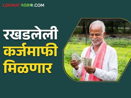 Karja Mafi: Chhatrapati Shivaji Maharaj Yojana's no active for farmer loan waiver cleared | Karja Mafi छत्रपती शिवाजी महाराज योजनेतील रखडलेली कर्जमाफी मिळण्याचा मार्ग झाला मोकळा