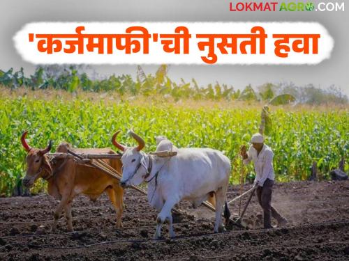 Karja Mafi Maharashtra : How many times has loan waiver been done under the Central and State loan waiver scheme so far? Read in detail | Karja Mafi Maharashtra : आतापर्यंतच्या केंद्र व राज्याच्या कर्जमाफी योजनेतून किती वेळा झाली कर्जमाफी? वाचा सविस्तर