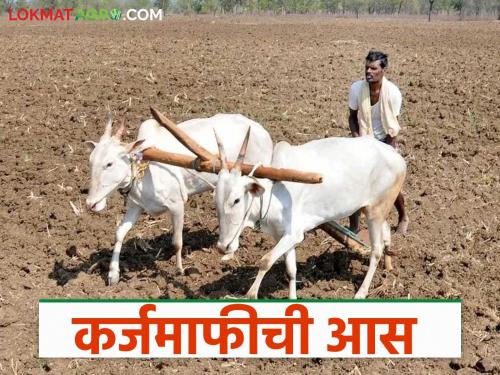 Expectations of farmers' loan waiver directly affected crop loan disbursement; Read in detail | शेतकऱ्यांच्या कर्जमाफीच्या अपेक्षेने थेट पीक कर्ज वितरणावर झाला परिणाम; वाचा सविस्तर