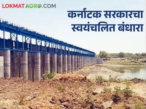 Karnataka's construction of this dam on the Bhima river will benefit Maharashtra's agriculture | कर्नाटकने भीमा नदीवर बांधलेल्या या बंधाऱ्याने महाराष्ट्राच्या शेतीला मिळणार लाभ