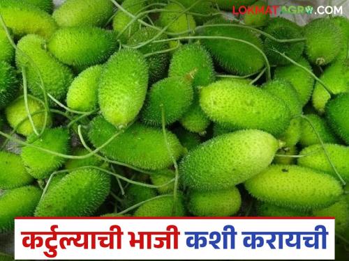Latest News ranbhajya many health benefits of kartola ranhbaji see full recipe of kartule ranbhaji | एक रानभाजी, अनेक आरोग्यदायी फायदे, कर्टूल्याच्या भाजीची रेसिपी समजून घ्या!