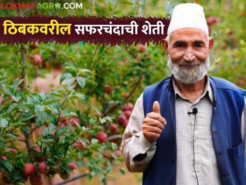 How are the farmers of Jammu and Kashmir using advanced agricultural techniques? | जम्मू काश्मीरचे शेतकरी उच्च कृषी तंत्राचा वापर कसा करत आहेत?