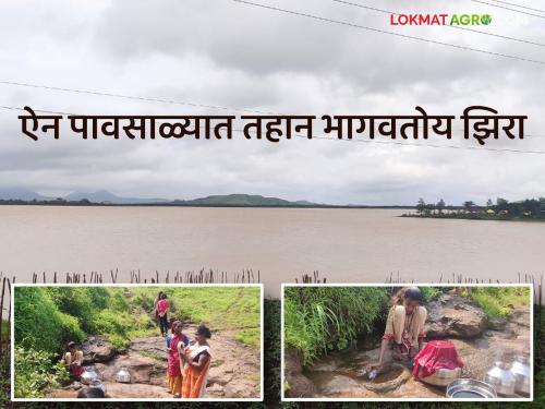 Latest news During rainy season women are fetching water from cumin in kashyapi gangapur dam | Water Scarcity : ऐन पावसाळ्यात 'या' महिला झिऱ्यावरचं पाणी का भरत आहेत? वाचा सविस्तर 