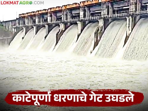 latest news Katepurna Dam Water Release: Eight gates of Katepurna Dam opened; How many cumex of water is being released? Read in detail | Katepurna Dam Water Release : काटेपूर्णा धरणाचे आठ गेट उघडले; किती क्युमेक्स पाण्याचा विसर्ग सुरू वाचा सविस्तर