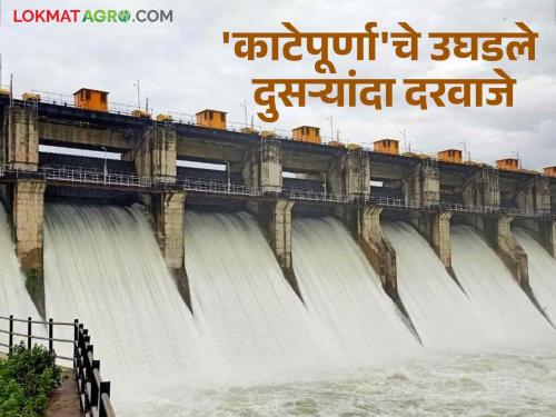 Katepurna Dam: 46.11 cubic meters of water released from Katepurna  | Katepurna Dam : 'काटेपूर्णा'तून ४६.११ घनमीटर पाण्याचा विसर्ग 