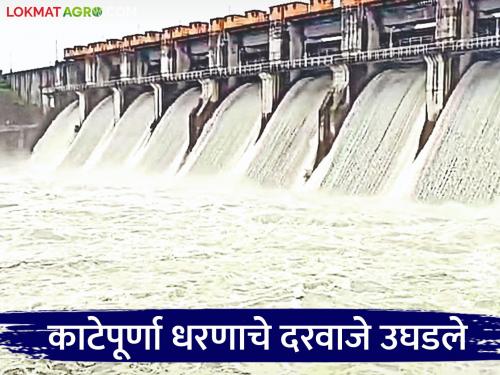 latest news Katepurna Dam Update: Discharge from Katepurna Dam begins; Water storage increases due to rain | Katepurna Dam Update : काटेपूर्णा धरणातून विसर्ग सुरू; पावसामुळे जलसाठ्यात वाढ वाचा सविस्तर