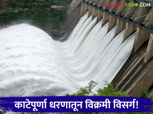 latest news Katepurna Dam Water Level: Heavy rain in Katepurna Dam area; All 10 gates opened simultaneously for the first time! | Katepurna Dam Water Level : काटेपूर्णा धरण परिसरात मुसळधार पाऊस; सर्व १० दरवाजे प्रथमच एकाच वेळी उघडले! वाचा सविस्तर