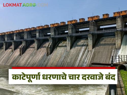 latest news Katepurna Dam Update: Katepurna Dam's discharge finally stopped; Gates closed after 27 hours | Katepurna Dam Update : काटेपूर्णा धरणाचा विसर्ग अखेर थांबला; २७ तासांनंतर दरवाजे बंद वाचा सविस्तर