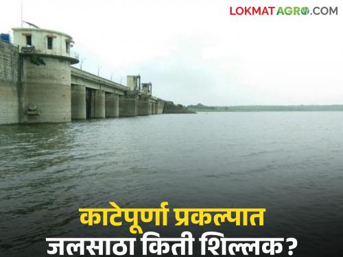 latest news Katepurna Dam: The water storage of Katepurna project is on 'hold'; Read the reason in detail | Katepurna Dam: काटेपूर्णा प्रकल्पाचा जलसाठा स्थिर; काय आहे कारण वाचा सविस्तर