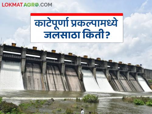 Katepurna Dam water: latest news Only 'so' percent water storage in Katepurna Dam; But use it carefully Read in detail | Katepurna Dam water: काटेपूर्णा धरणात केवळ 'इतके' टक्केच जलसाठा; पण जपूनच वापरा वाचा सविस्तर