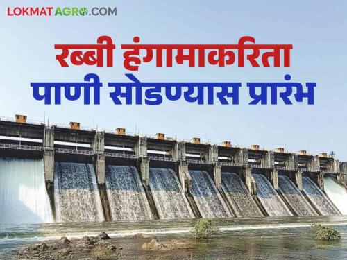 Katepurna Dam Water Release : Starting release of water from Katepurna Dam for Rabi season | Katepurna Dam Water Release : काटेपूर्णा धरणातून रब्बी हंगामाकरिता पाणी सोडण्यास प्रारंभ