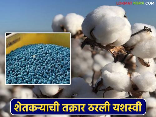 Kapas Biyane Case: Farmer's victory: Read the important decision of the Consumer Commission in the case of defective cotton seeds in detail | Kapas Biyane Case : शेतकऱ्याचा विजय: सदोष कापूस बियाणे प्रकरणी ग्राहक आयोगाचा महत्त्वाचा निर्णय वाचा सविस्तर